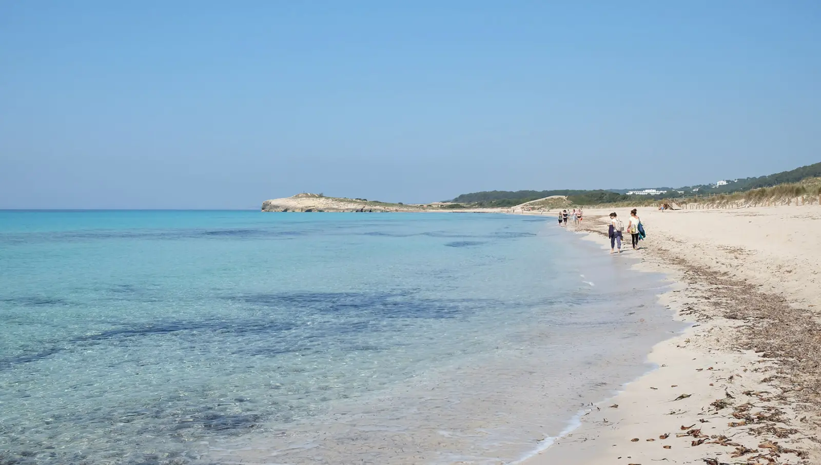 Strand Son Bou: Was man sehen, warum ihn besuchen und wie man hinkommt