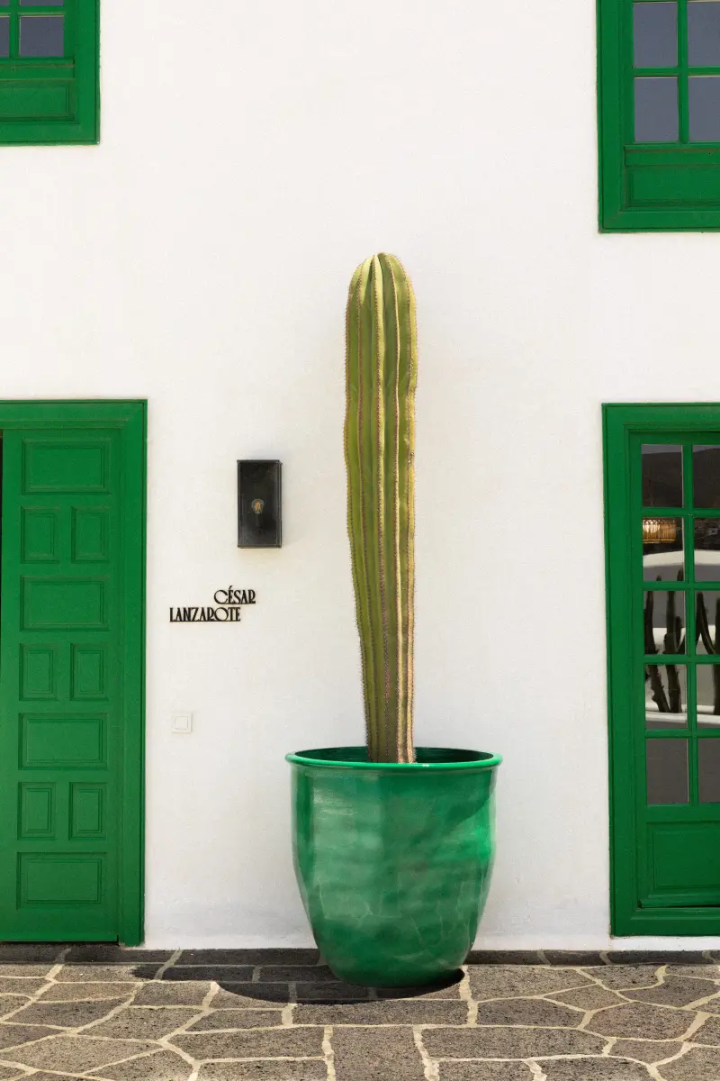 César Lanzarote